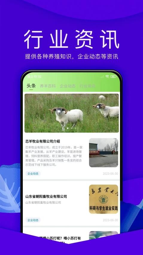 羊小宝v1.0.5