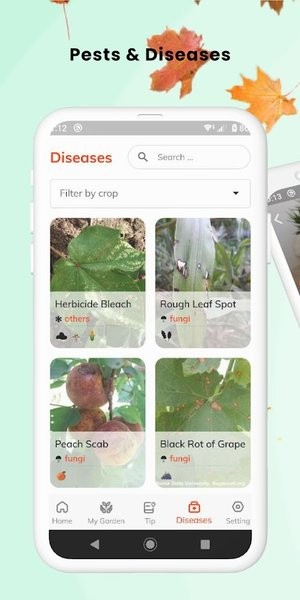 findplant1.3.0