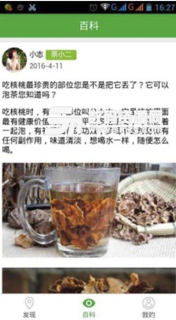 茶码头官方版