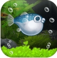 我的河豚鱼水族馆安卓版(养成类手机游戏) v1.0.0 免费版
