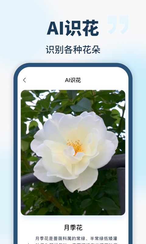 AI智能助手1.2.0.0