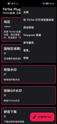 tiktokplugin中文版v2.9.1