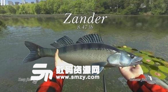 終極釣魚模擬器手機版截圖