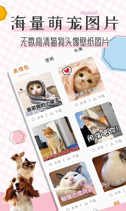 猫语翻译宝1.4.3