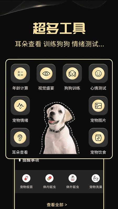 人狗互動工具app 2.6.82.7.8