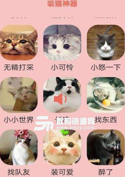 火猫密语安卓版