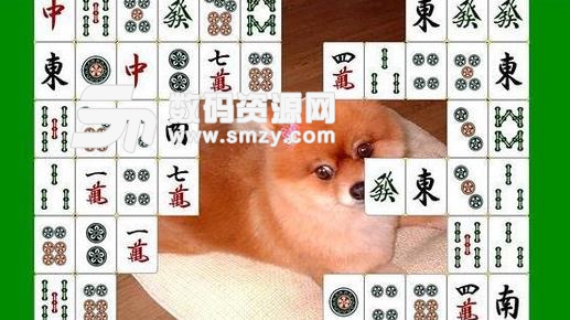 Mahjong Connect手机版