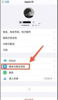 【iphone允许app请求跟踪打不开解决方法分享】