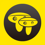 蘑菇伴侣最新版(交通导航) v3.7 手机版