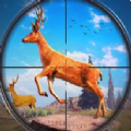 野鹿狩猎丛林射手游戏v1.0