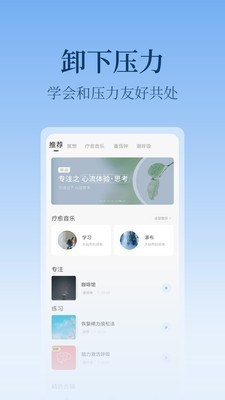 心潮Stressv5.4.8