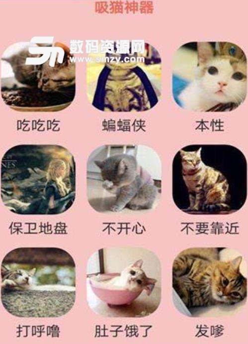 火猫密语安卓版介绍