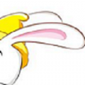兔朵免费版(社交网络) v1.2.4 安卓版