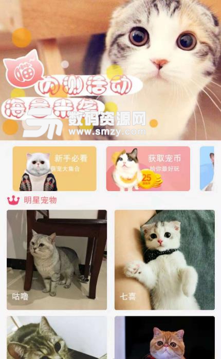 猫咪汇安卓版