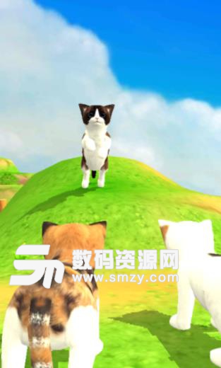 猫咪流浪记安卓版