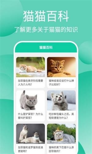 猫猫交流工具3.3.4