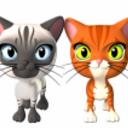 会说话的3只小猫手机版(三只可爱的小猫) v3.24 安卓最新版