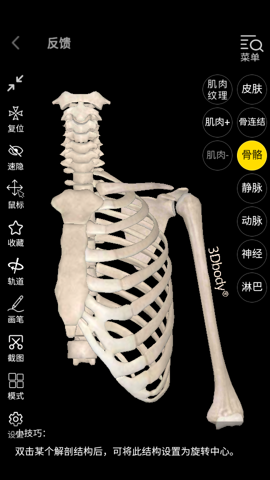 3dbody解剖学习appv8.6.70