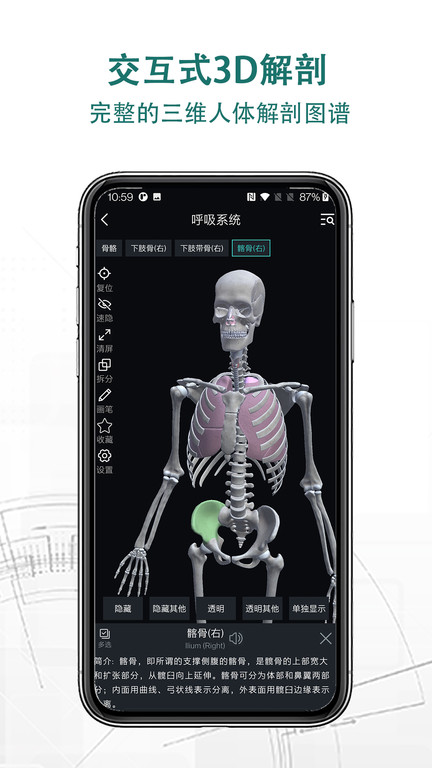 掌上3d解剖IOS版vv2.3.0