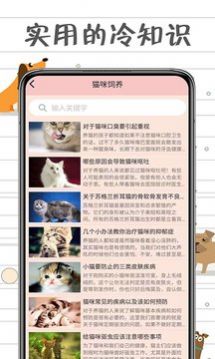 小猫交流器appv1.4