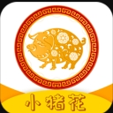 小猪花安卓版(旅游助手app) v1.3 手机版