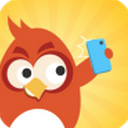 红金鸟直播安卓版(红金鸟直播app) v1.3 手机版