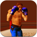 3D街机拳斗手机安卓版(戴上手套) v2.2 最新版