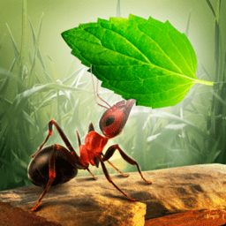 小蚂蚁部落安卓版3.3.5 安卓中文版