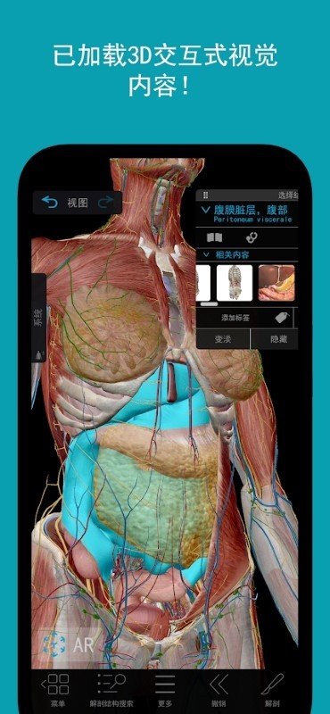 人体解剖学图谱v1.2.055