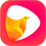 鸽迷视频免费版(影音播放) v1.1.2 手机版