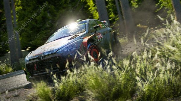 WRC 7巴音布鲁克拉力赛(世界汽车拉力锦标赛7 )v1.0