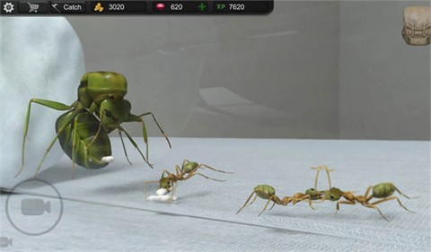 蚂蚁模拟大亨最新版v1.5.7