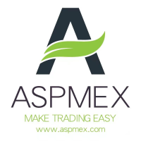 ASPMEXv2.0.1