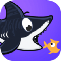 鲨鱼快讯手机版(新闻资讯) V1.0 免费版