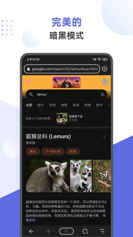 狐猴浏览器手机版v2.6.1.022