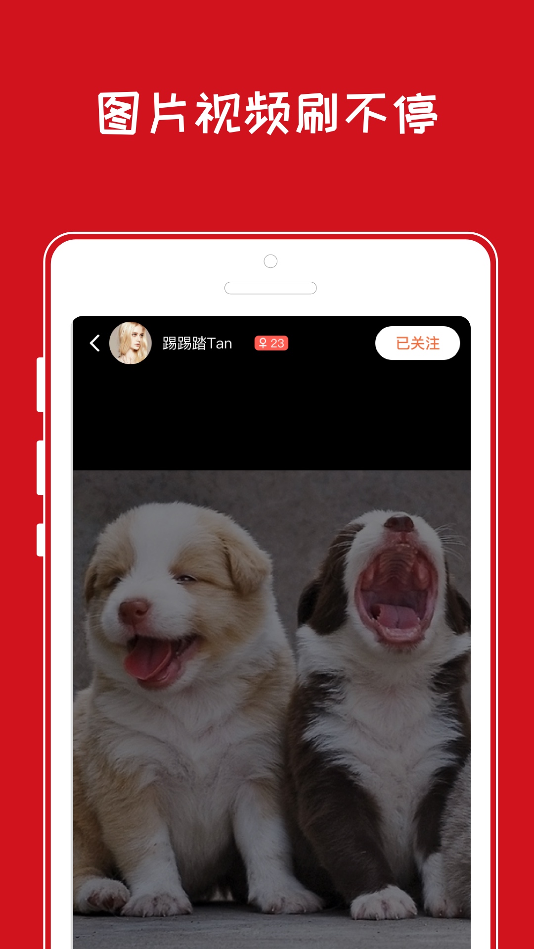 小奇app(萌宠社区)1.1.1