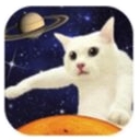 伸长吧猫咪apk手机版(伸长吧猫咪休闲手游) v1.4.3 安卓版