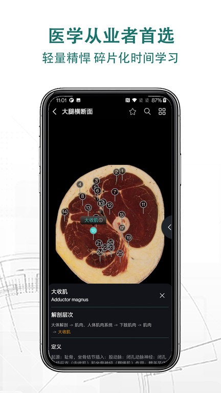 掌上3d解剖v2.3.1 安卓版