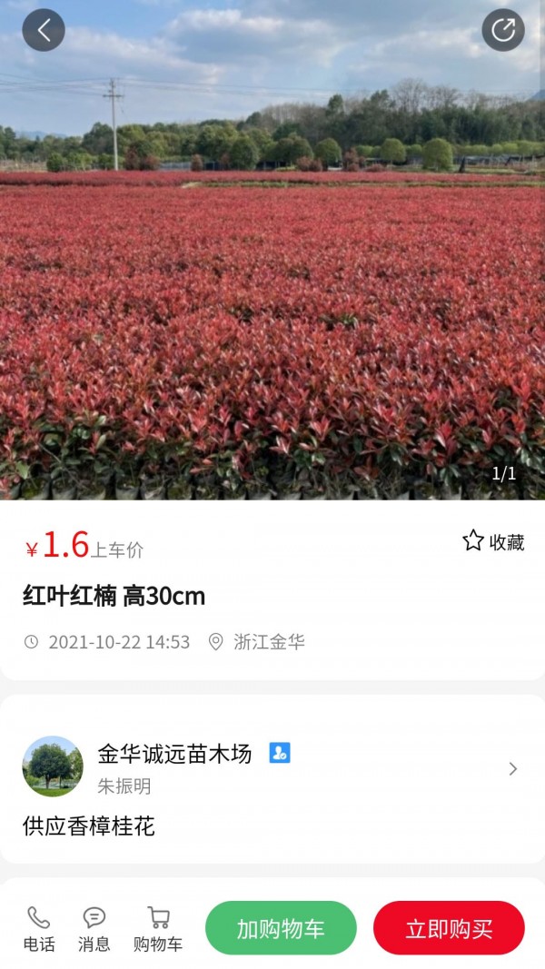 苗青青v1.3.0
