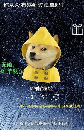 Android版单身狗天气预报图片