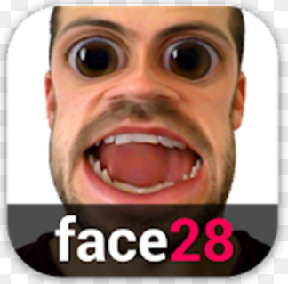 Face281.3.1