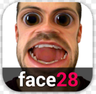 Face28