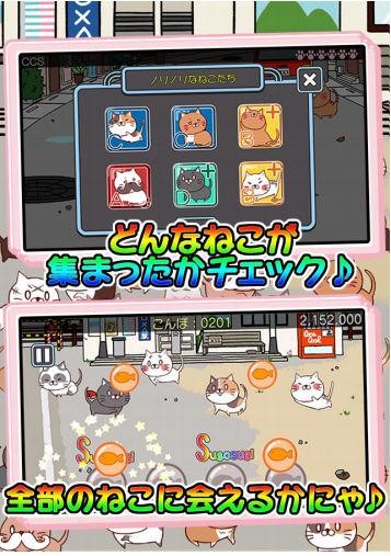 猫咪逃脱大冒险v1.0.3