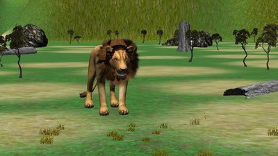 狮子追求模拟器v1.4