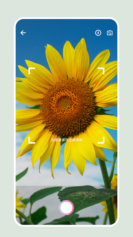 识别花app1.4