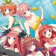 五等分的抢婚v1.4