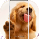 抖音舔屏壁纸app(Dog Licks Lock Screen) v2.3 安卓版