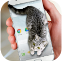 猫咪桌宠手机版app(Cat Walks in Phone Cute joke) v1.3 安卓版