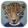 动物照相机手机版(图形图像) v2.6.3.7免费版