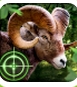 荒野猎手无限金币版(Wild Hunter)  v1.3.5 安卓手机版
